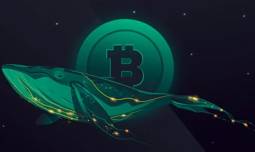 1711976431 561 Alerte aux baleines un mouvement Bitcoin de 627 millions de dollars