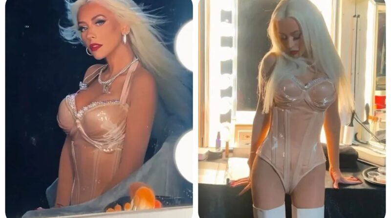Christina Aguilera a stupefie ses fans avec une perte de