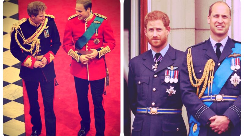 Le prince William est fermement oppose au prince Harry