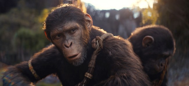 Kingdom of the Planet of Monkeys, Noah (voix: Owen Teague), 2024.