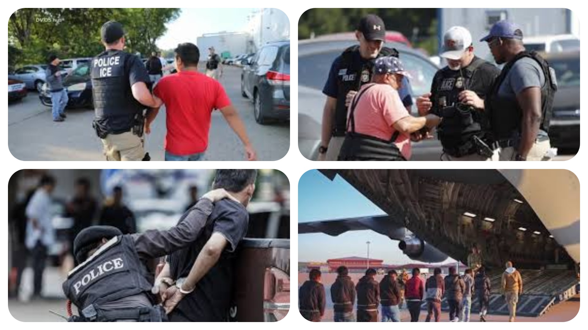 attaques d'immigration