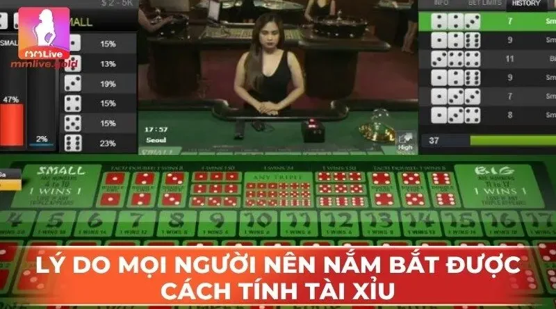 Chi tiet cach tinh tai xiu Va am am tai.webp