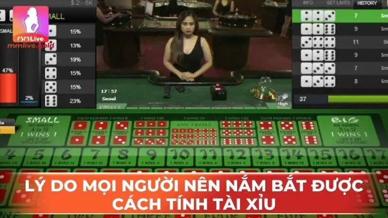 Lý do mọi người nên nắm bắt ược cách tính tài xỉu